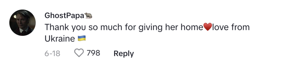 TikTok comment